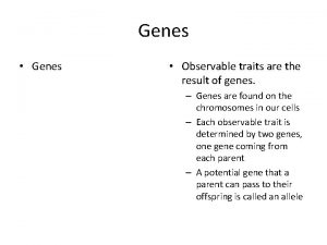 Genes Genes Observable traits are the result of