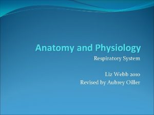 Anatomy and Physiology Respiratory System Liz Webb 2010