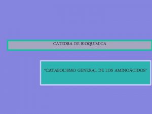 CATEDRA DE BIOQUIMICA CATABOLISMO GENERAL DE LOS AMINOCIDOS