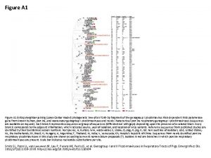 Figure A 1 nbsp Neighborjoining JukesCantor model phylogenetic