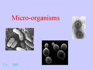 Microorganisms CA 2005 Microorganisms include Bacteria Fungi Viruses