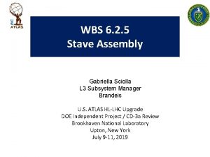 WBS 6 2 5 Stave Assembly Gabriella Sciolla