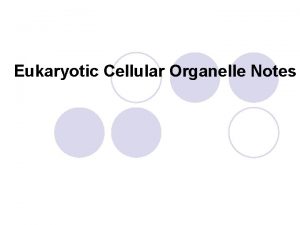 Eukaryotic Cellular Organelle Notes Cell Membrane Boundary between