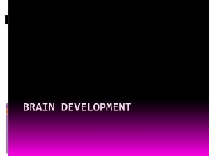 BRAIN DEVELOPMENT Teen Brain Quiz Number in your