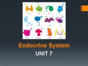 Endocrine System UNIT 7 Endocrine System Endocrine glands