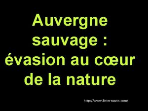 Auvergne sauvage vasion au cur de la nature