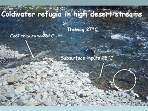 Coldwater refugia in high desert streams Thalweg 27C