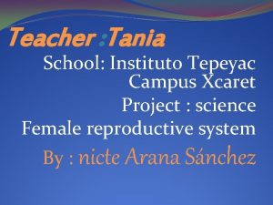 Teacher Tania School Instituto Tepeyac Campus Xcaret Project