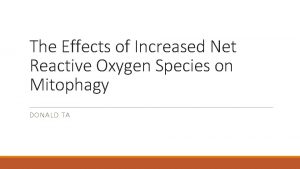 The Effects of Increased Net Reactive Oxygen Species