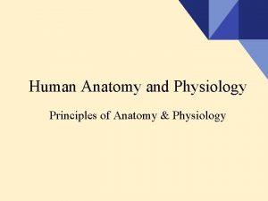 Human Anatomy and Physiology Principles of Anatomy Physiology