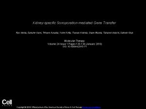 Kidneyspecific Sonoporationmediated Gene Transfer Ryo Ishida Daisuke Kami