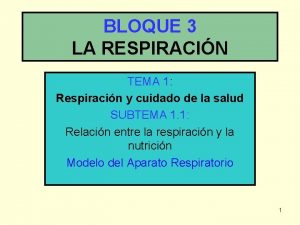 BLOQUE 3 LA RESPIRACIN TEMA 1 Respiracin y