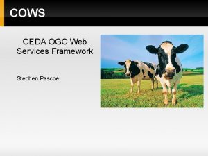 COWS CEDA OGC Web Services Framework Stephen Pascoe