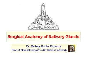 Surgical Anatomy of Salivary Glands Dr Mohey Eddin