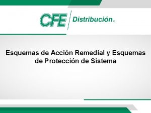 Esquemas de Accin Remedial y Esquemas de Proteccin