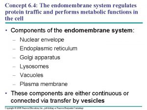 Concept 6 4 The endomembrane system regulates protein