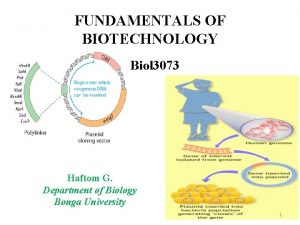 FUNDAMENTALS OF BIOTECHNOLOGY Biol 3073 Haftom G Department