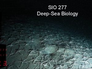 SIO 277 DeepSea Biology DeepSea Biology SIO277 Instructor