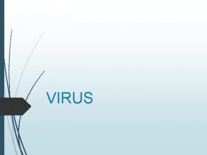 VIRUS Los Virus No Son Culas Hay varias