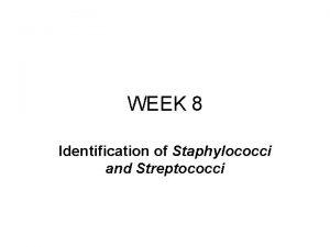 WEEK 8 Identification of Staphylococci and Streptococci Exercise