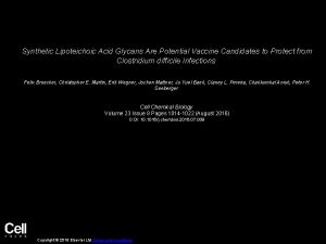 Synthetic Lipoteichoic Acid Glycans Are Potential Vaccine Candidates