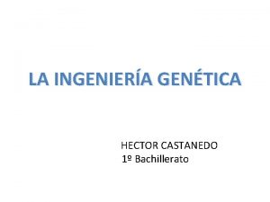 LA INGENIERA GENTICA HECTOR CASTANEDO 1 Bachillerato Definicin