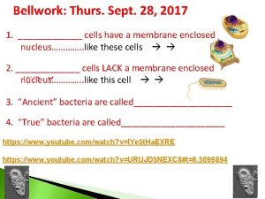 Bellwork Thurs Sept 28 2017 1 cells have