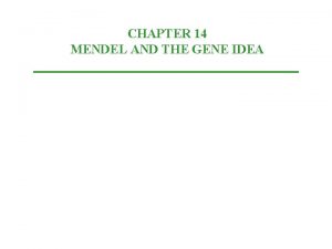 CHAPTER 14 MENDEL AND THE GENE IDEA Mendel