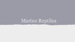Marine Reptiles Reptiles First to move to land