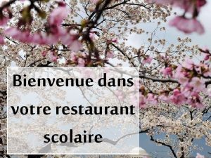 Bienvenue dans votre restaurant scolaire LUNDI SALADE VERTE