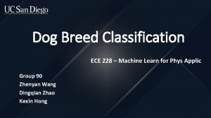 Dog Breed Classification ECE 228 Machine Learn for