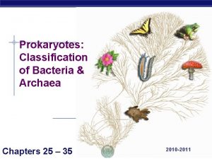 Prokaryotes Classification of Bacteria Archaea AP Biology Chapters