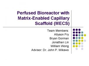Perfused Bioreactor with MatrixEnabled Capillary Scaffold MECS Team
