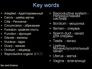 Key words Menstrual cycle Menstruation Ovulation Sex hormones