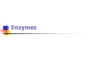 Enzymes Overview n n Enzymes proteins that catalyze