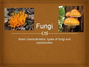 Fungi Basic characteristics types of fungi and reproduction