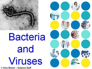Bacteria and Viruses Amy Brown Science Stuff Domains