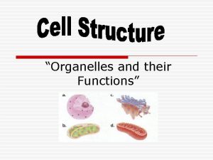 Organelles and their Functions CHLOROPLASTS o Green organelles