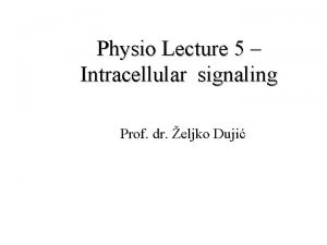 Physio Lecture 5 Intracellular signaling Prof dr eljko