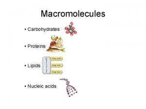 Macromolecules Carbohydrates Proteins Lipids Nucleic acids All macromolecules