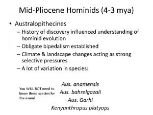 MidPliocene Hominids 4 3 mya Australopithecines History of