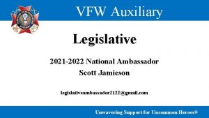 VFW Auxiliary Legislative 2021 2022 National Ambassador Scott