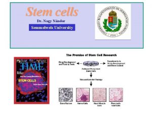 Stem cells Dr Nagy Nndor Semmelweis University cell