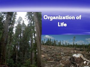 Organization of Life eco household ology study of