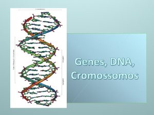Genes DNA Cromossomos DNA CIDO DESOXIRIBONUCLICO O cido
