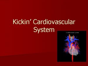 Kickin Cardiovascular System The Happy Heart S Size