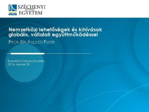 Nemzetkzi lehetsgek s kihvsok globlis vllalati egyttmkdssel PROF