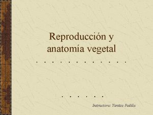 Reproduccin y anatoma vegetal Instructora Yanitza Padilla Ciclos