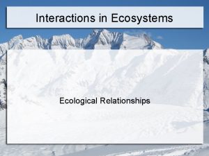 Interactions in Ecosystems Ecological Relationships Biotic Interactions Different