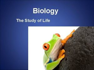 Biology The Study of Life Biology The Greek